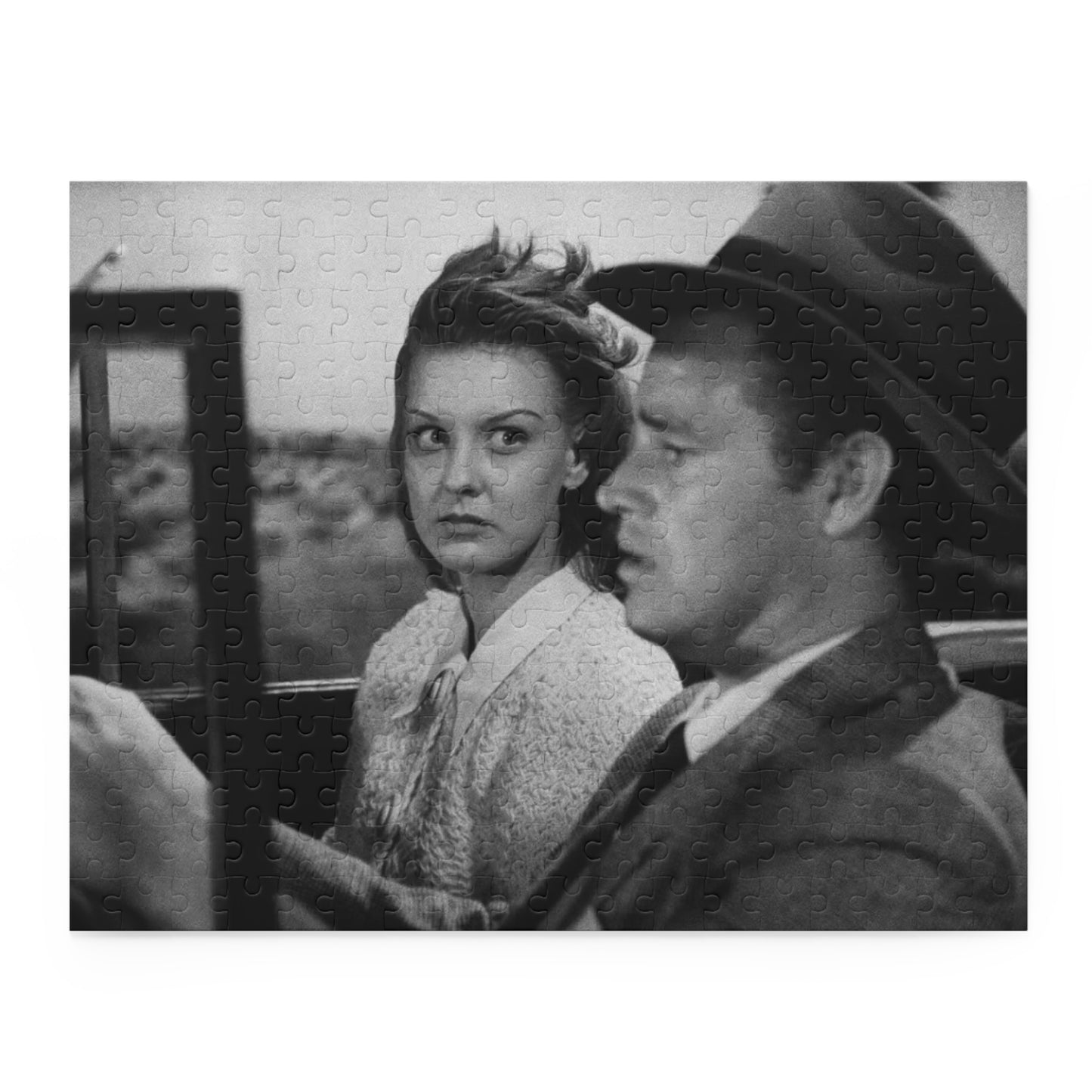 Detour Jigsaw Puzzle (252-Piece)